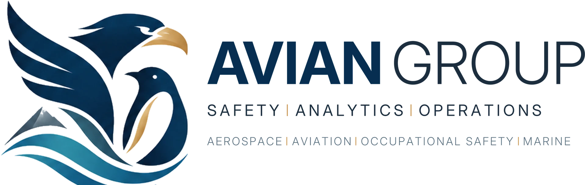 The Avian Group logo: Safety, Analytics, Operations. Aerospace, Aviation, Occupational Safety, Marine.